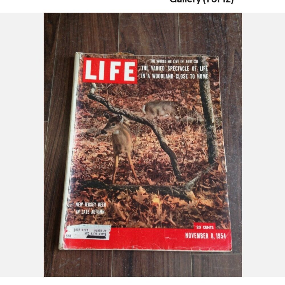 Life Magazine November 8 1954 Ernest Hemingway Elizabeth Taylor AD UCLA Football